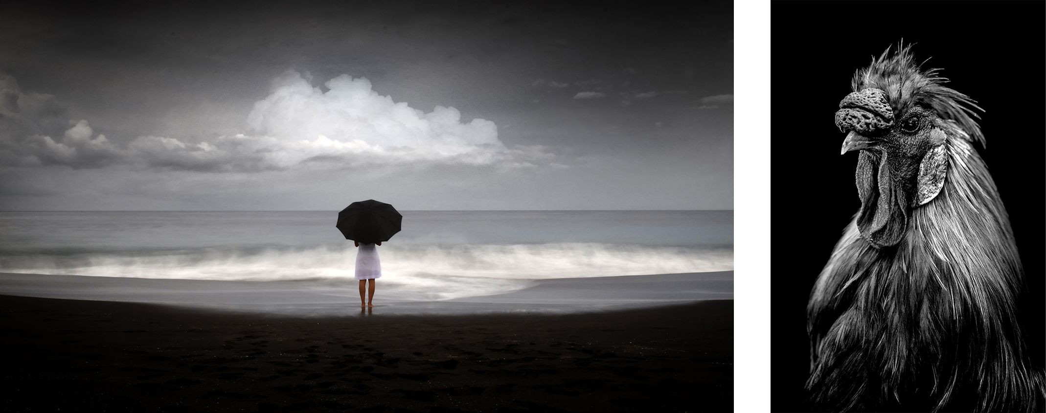 Aurélie Rivière, photographe professionnelle à l'Ile de la Réunion